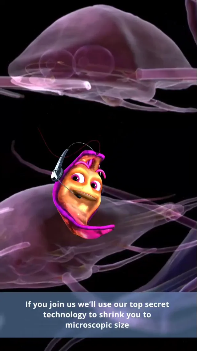 Microrangers